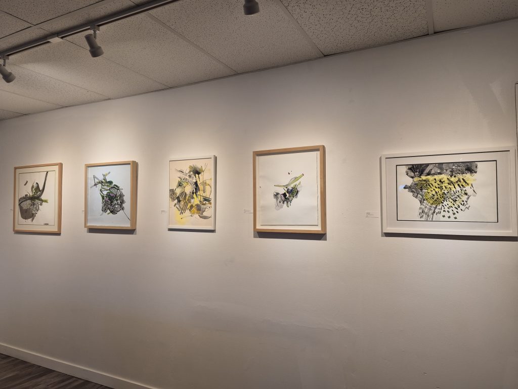 Drawings installed at Capulet Art Gallery, Richmond, BC